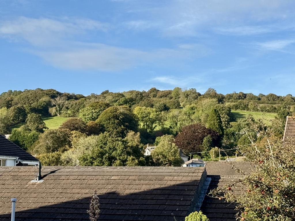 View from Garden