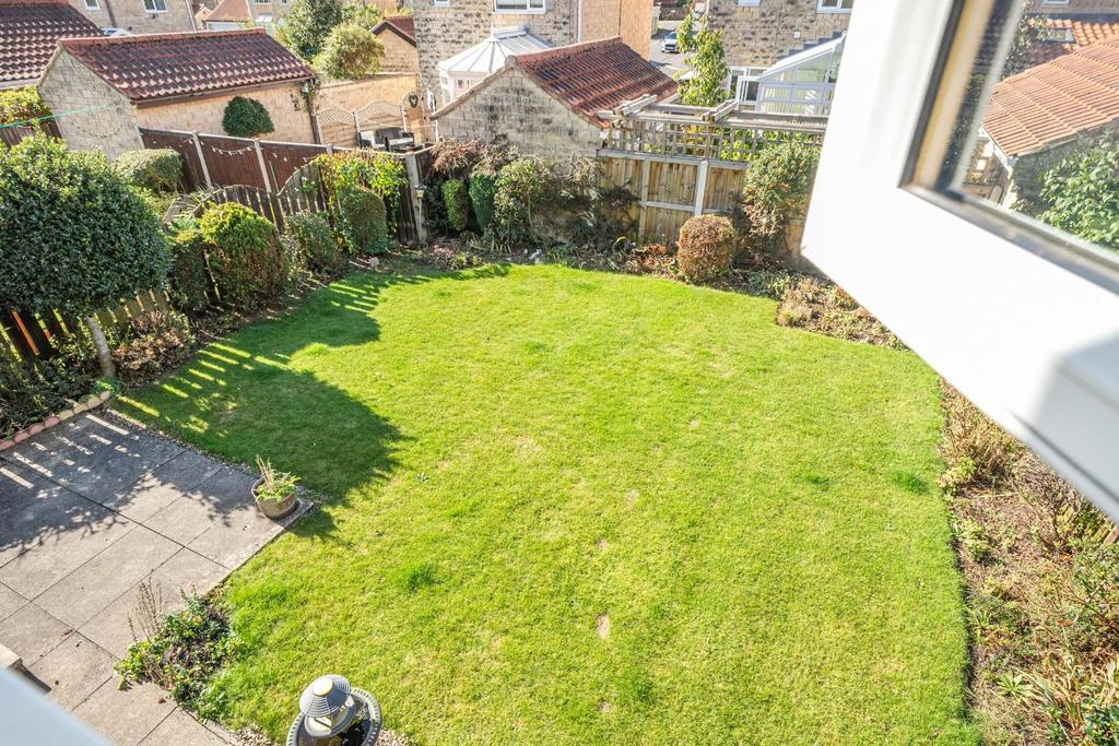 Garden birds eye.jpg
