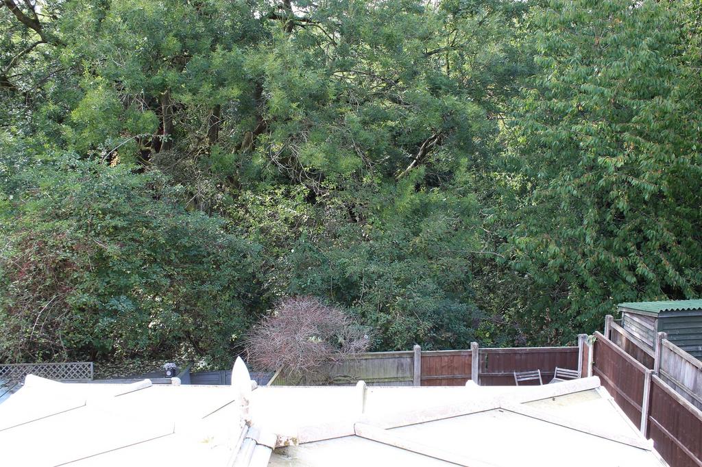 Rear Bedroom View