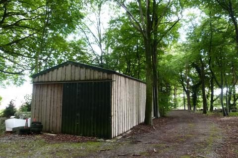 undefined, Ramridge Wood, Weyhill, near Andover SP11