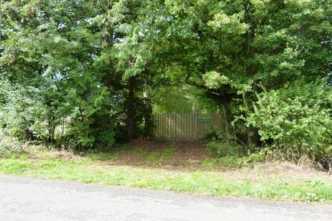 undefined, Ramridge Wood, Weyhill, near Andover SP11