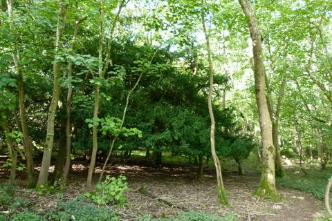 undefined, Ramridge Wood, Weyhill, near Andover SP11