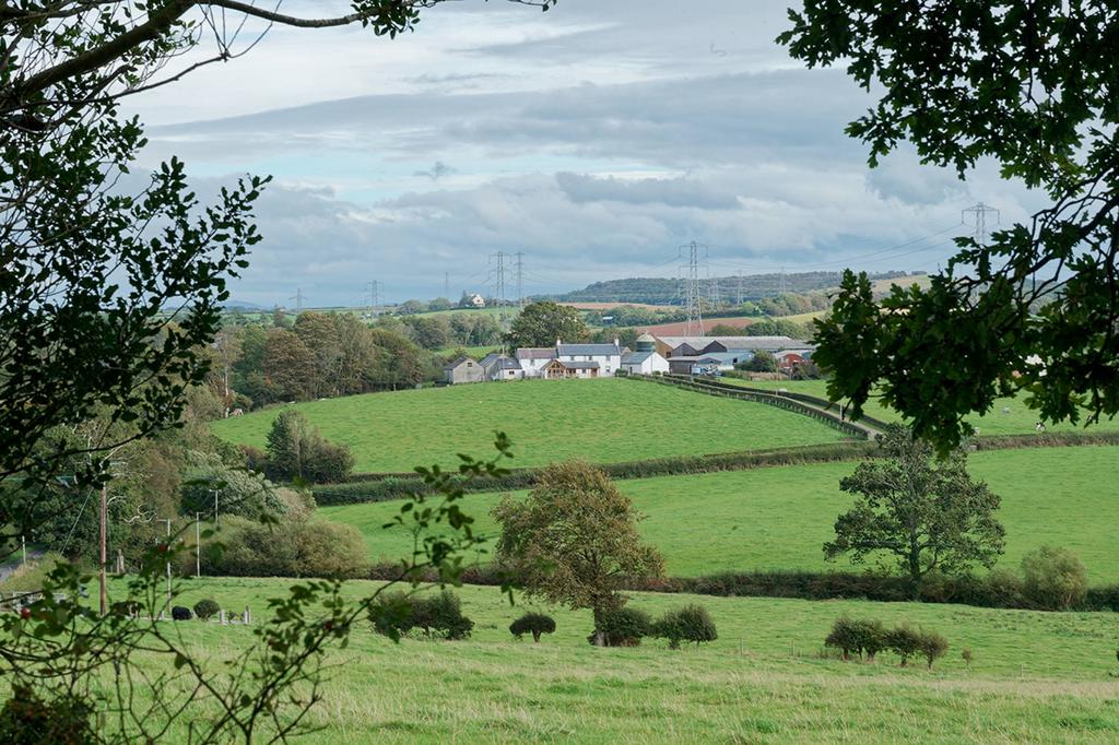 MFL1249436 025.jpg