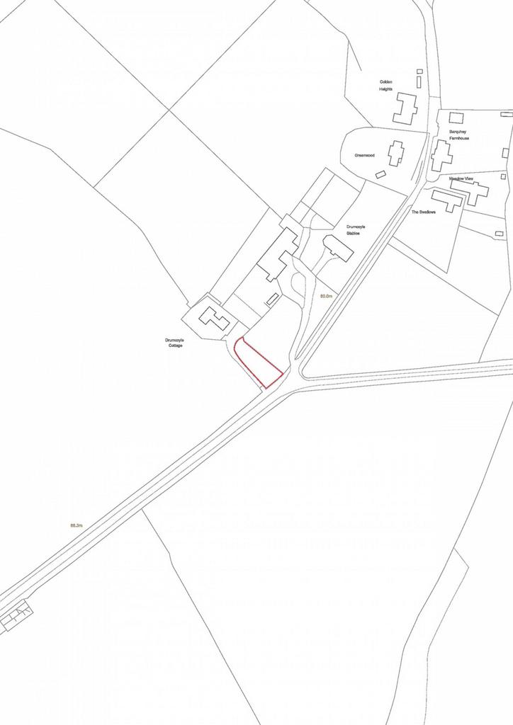 MFL1249436 707.jpg