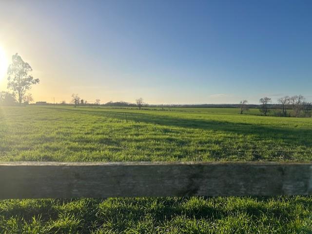 Field.jpg