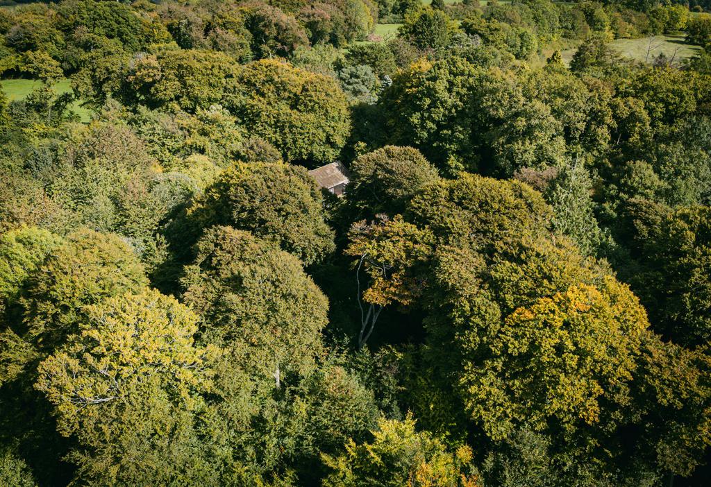 Dji 20250925132224 0067 d
