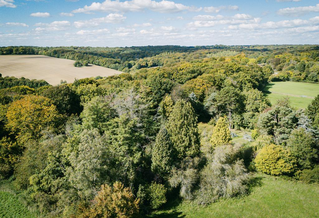 Dji 20250925124810 0052 d