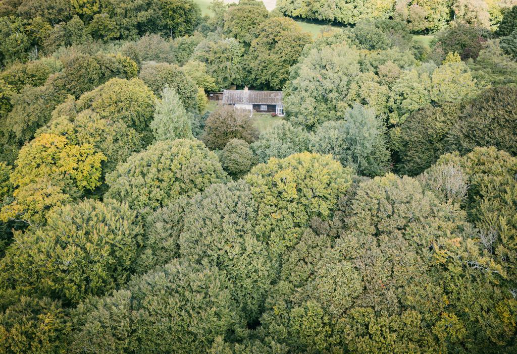 Dji 20250925133409 0084 d