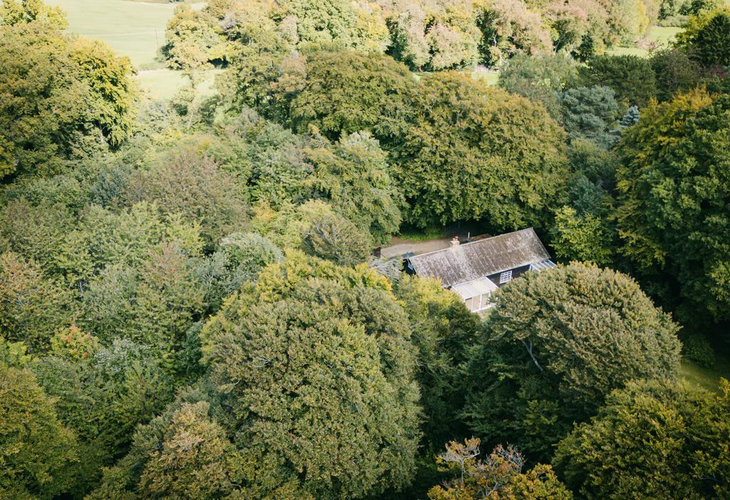 Dji 20250925132152 0065 d