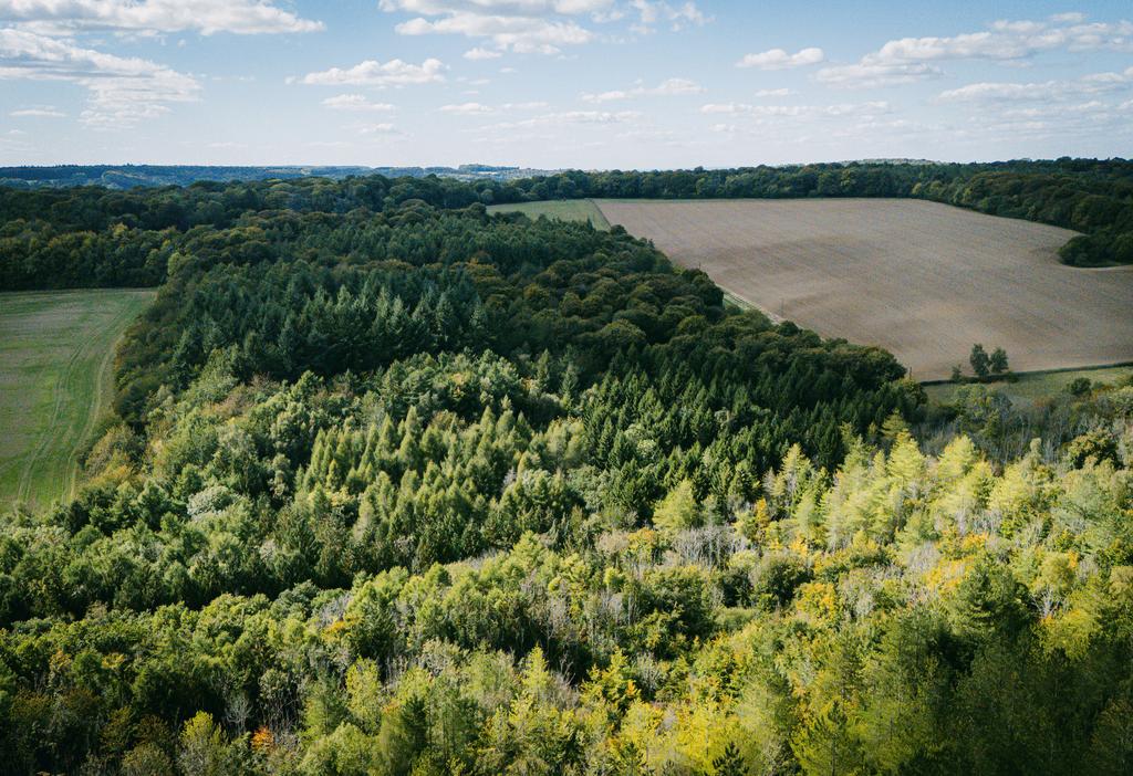 Dji 20250925132617 0071 d