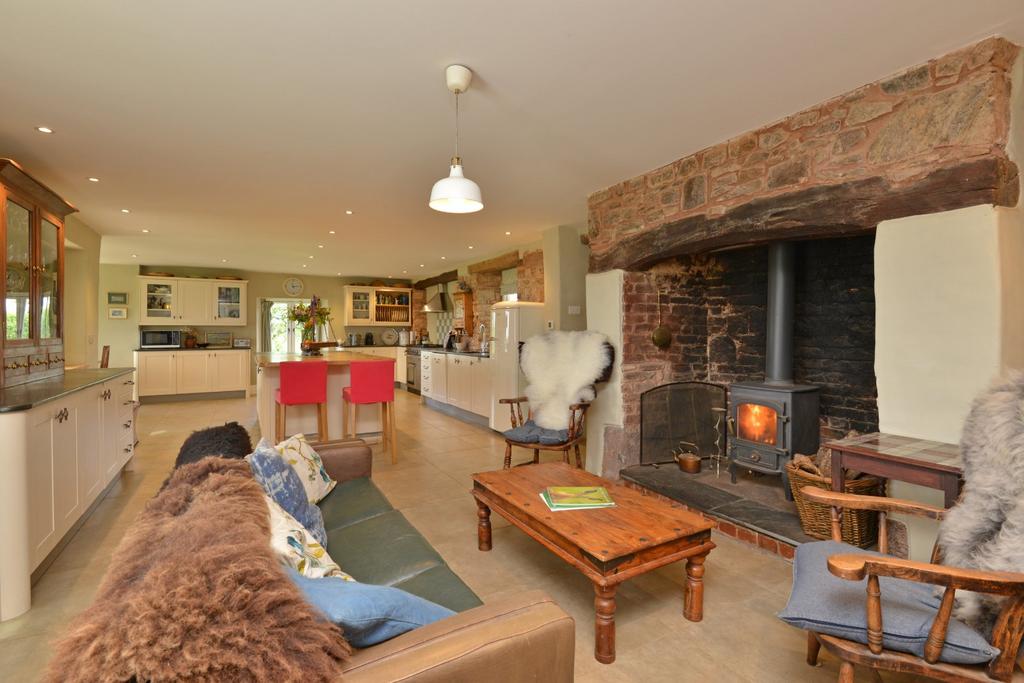 Kitchen/Living Area