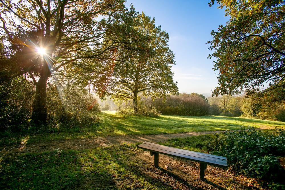 2332 BRH GLD RP LCL 03.jpg