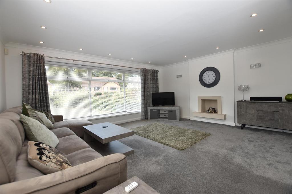 Lounge / Dining Area