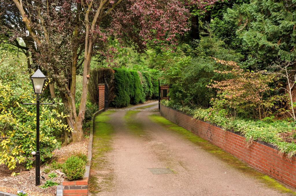 Driveway