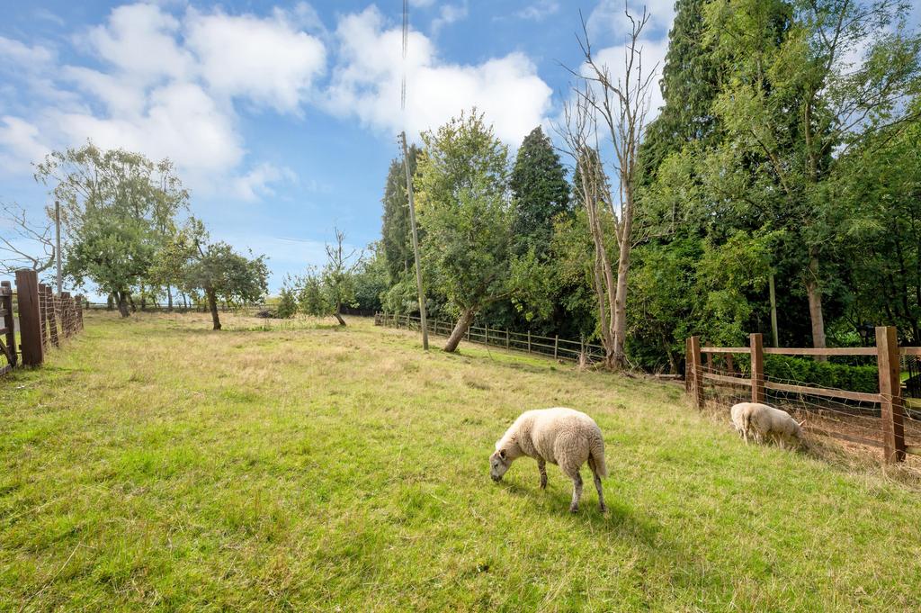 Paddocks