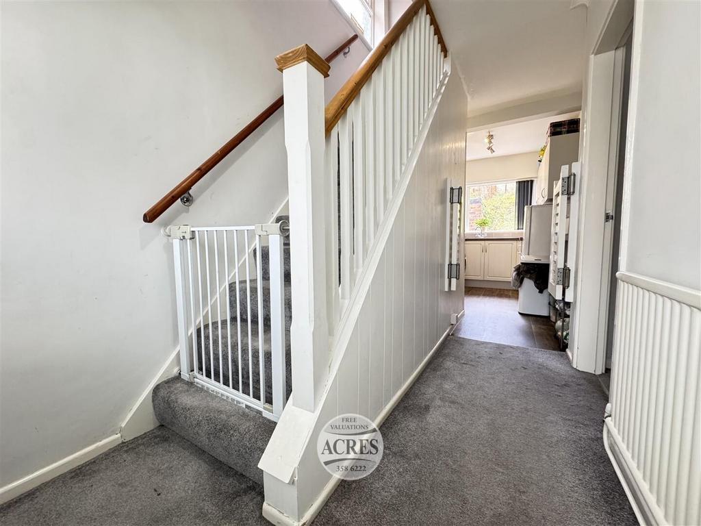 IMG 7628 (Large).jpg