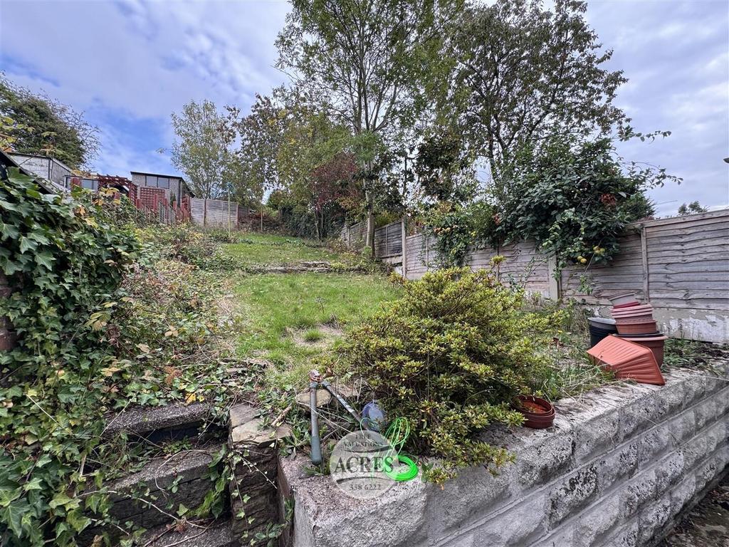 IMG 7733 (Large).jpg