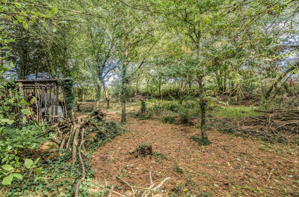 Woodland Area
