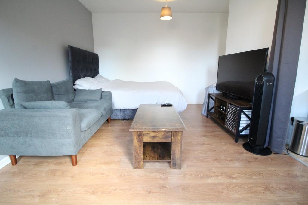 Living Room/Bedroom