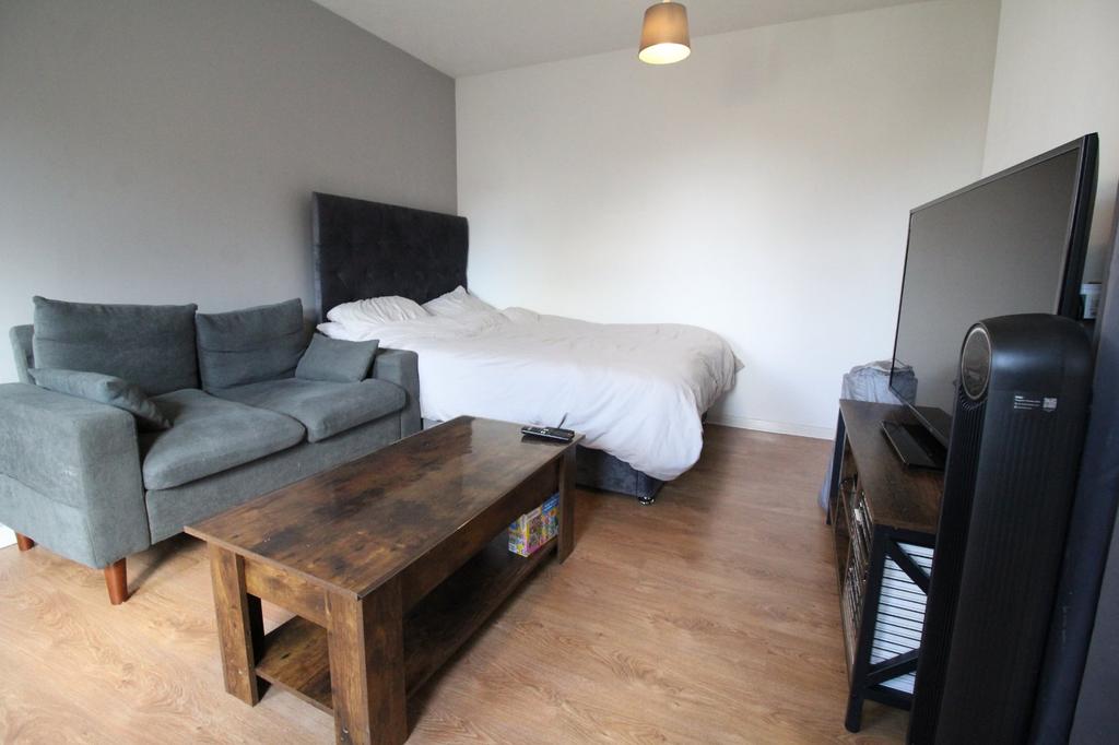 Living Room/Bedroom