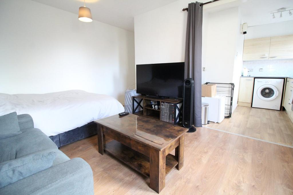 Living Room/Bedroom