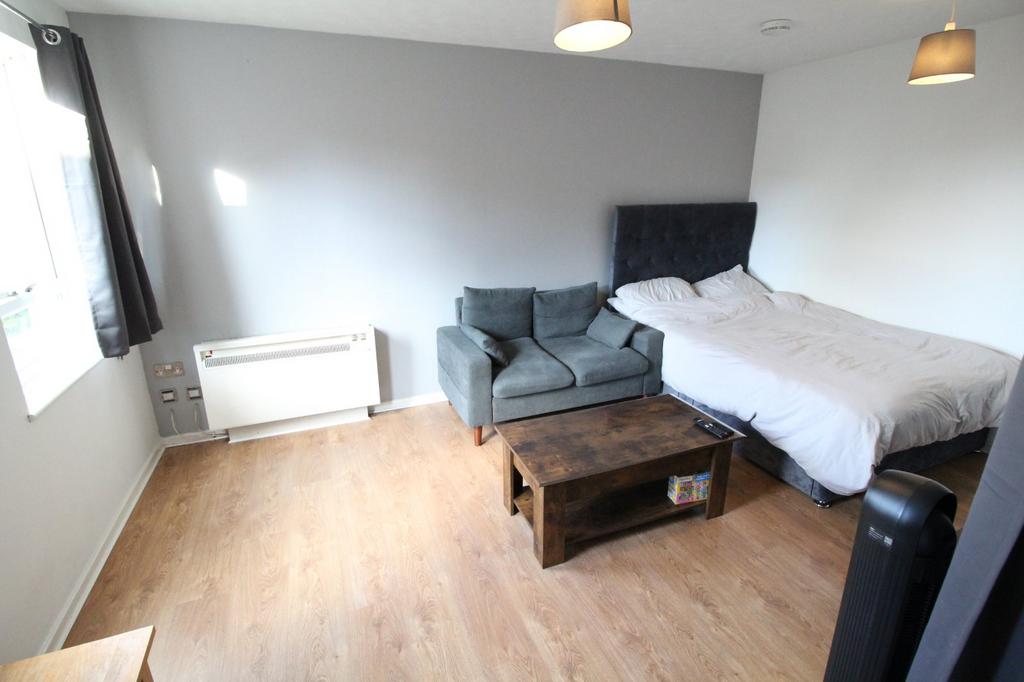 Living Room/Bedroom