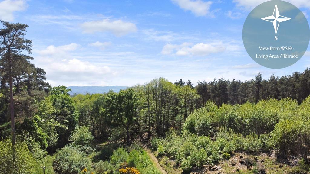 Views from WS19 South