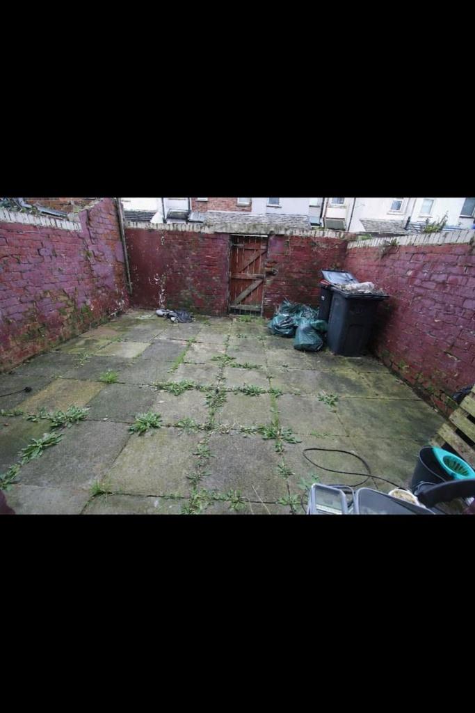 Rear Yard