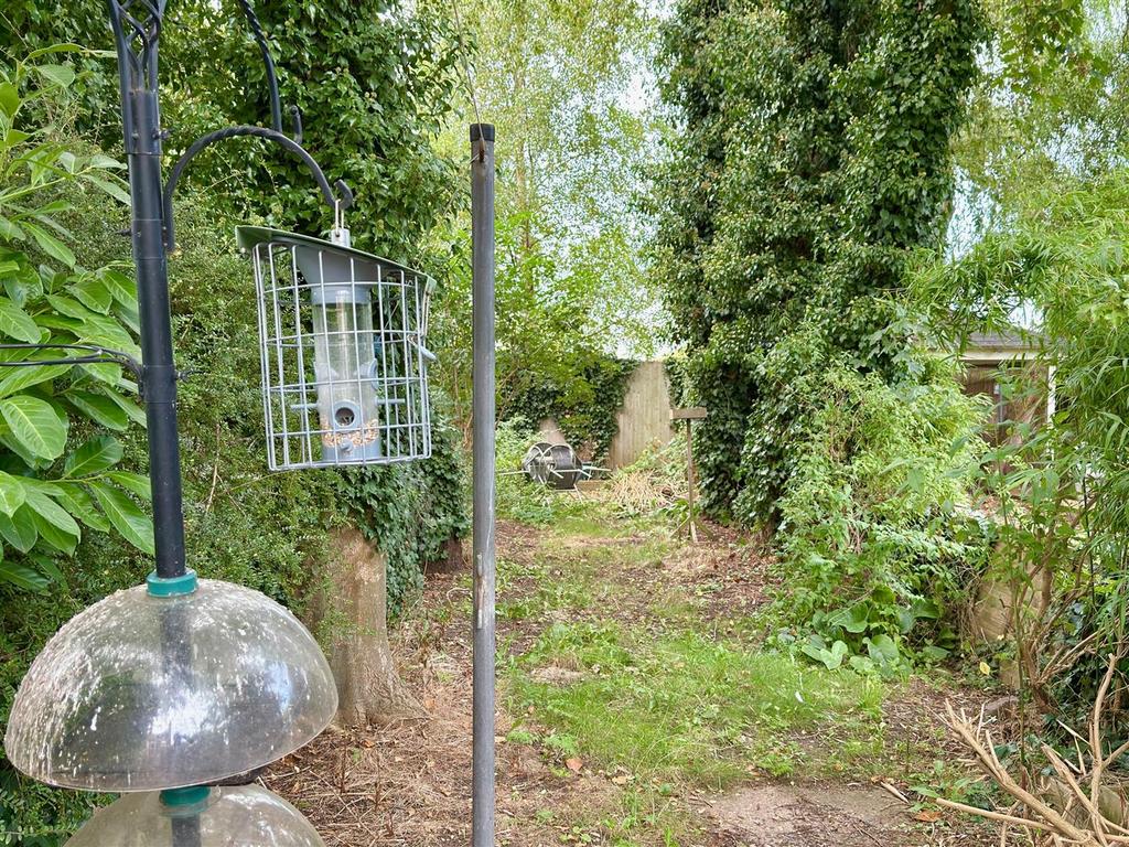 GARDEN BACK.jpg