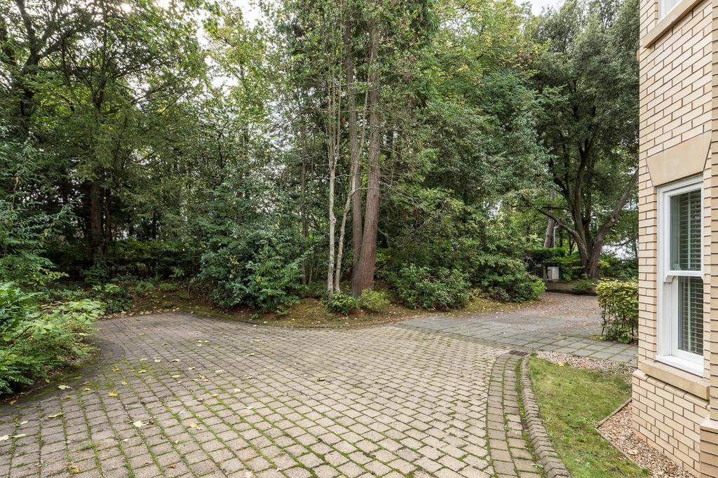 Driveway