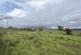Additional image 4 of Land At East Kirkland Farm, Wigtown, Newton Stewart, Dumfries and Galloway, DG8