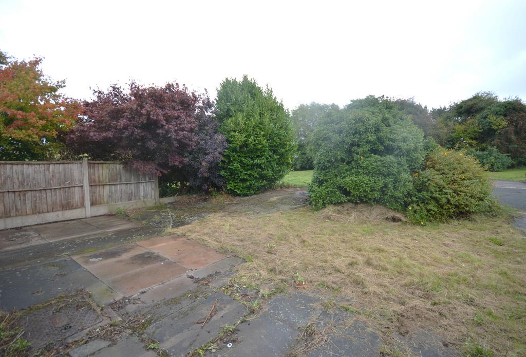 Rear garden area