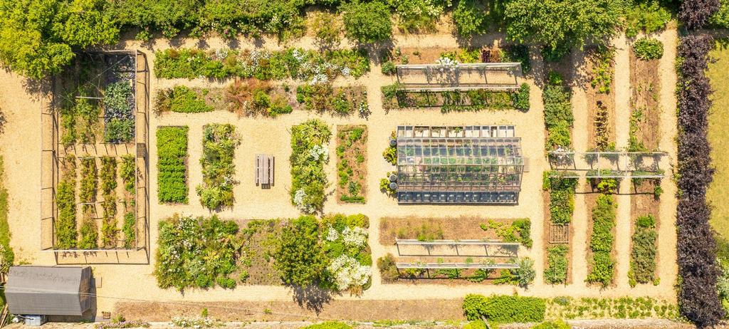 The Vegetable Garden