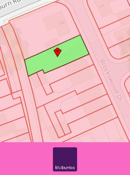 2025-10-01 12-59-20.jpg