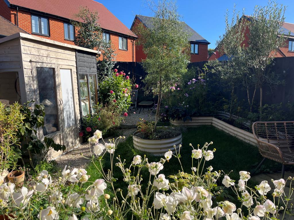 Back garden
