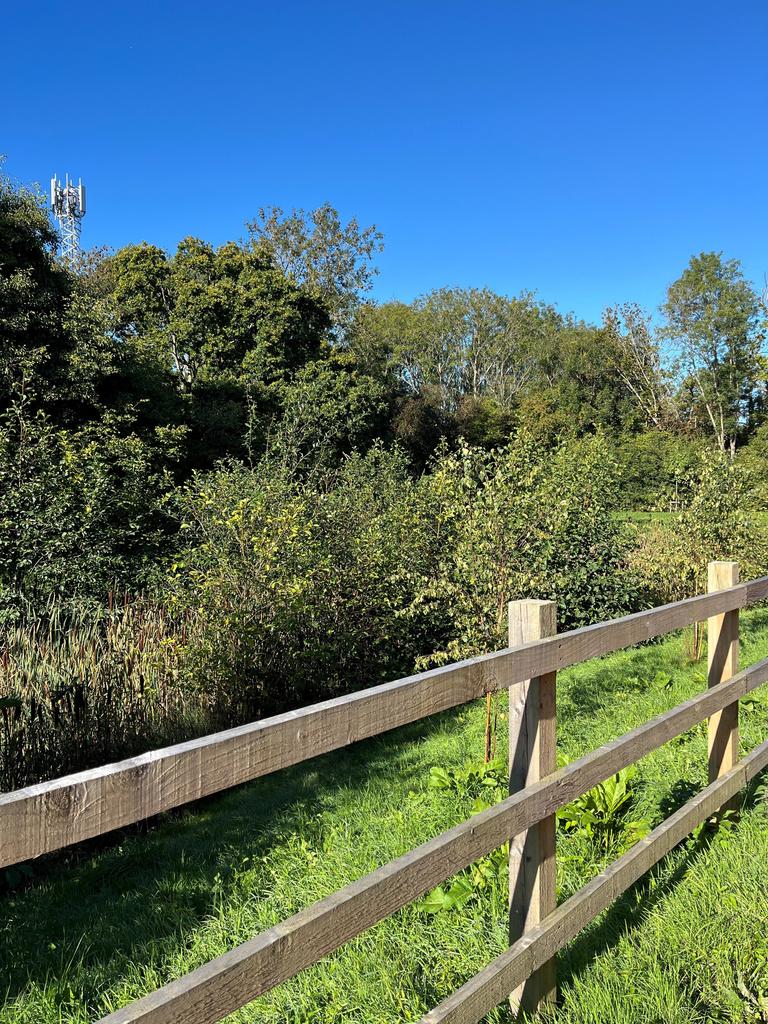View from house