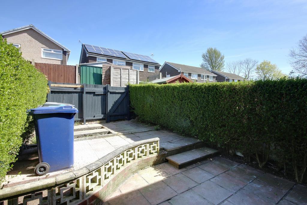 Back garden