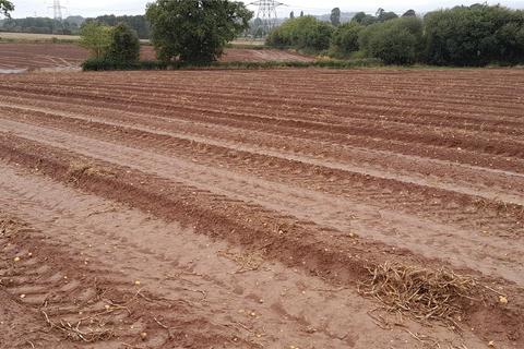 undefined, Land South Of Luckham Farm, Milverton, Taunton Somerset, TA21