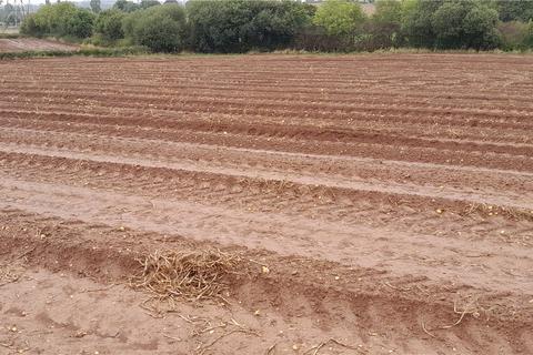 undefined, Land South Of Luckham Farm, Milverton, Taunton Somerset, TA21