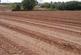 Land South Of Luckham Farm, Milverton, Taunton Somerset, TA21