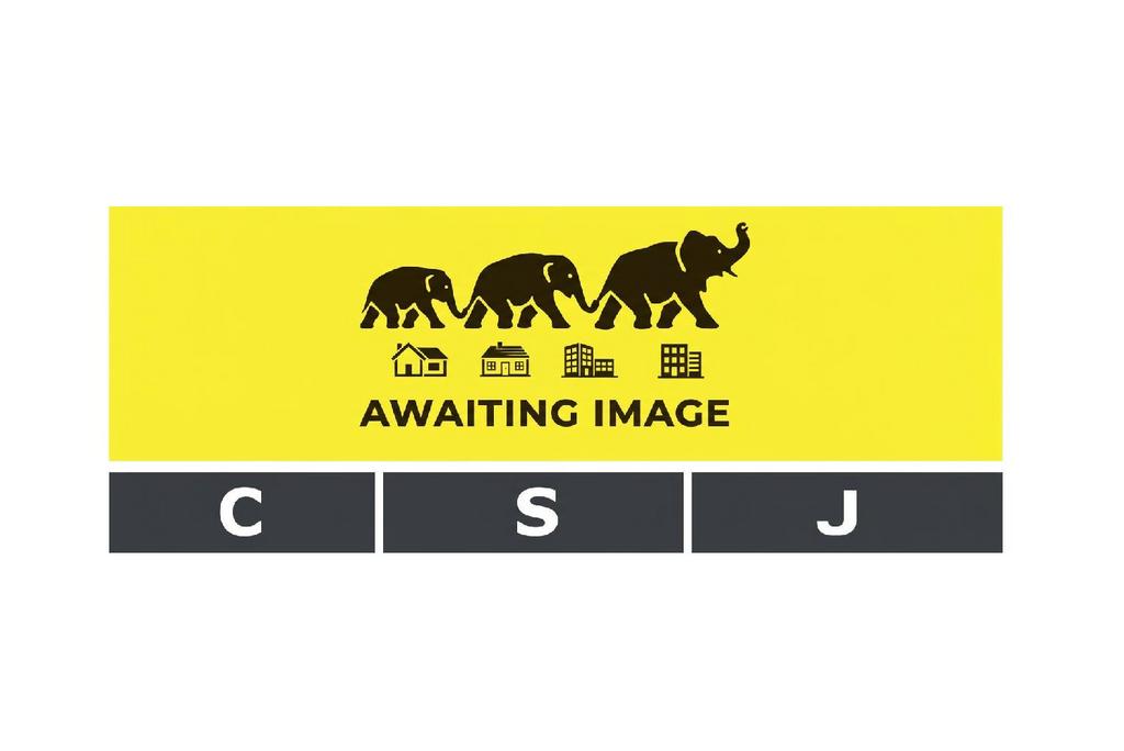 Awaiting image.png