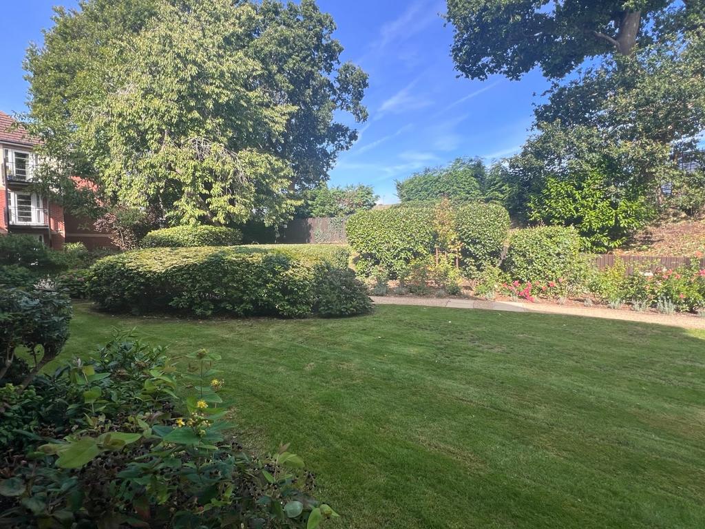 Communal Garden