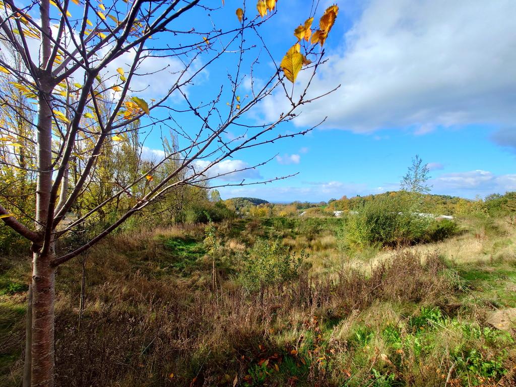 Nearby road outlook (not from property)