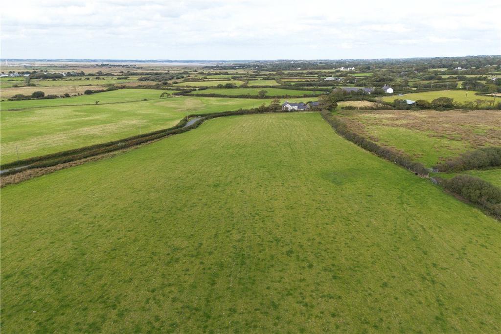 Lot 1