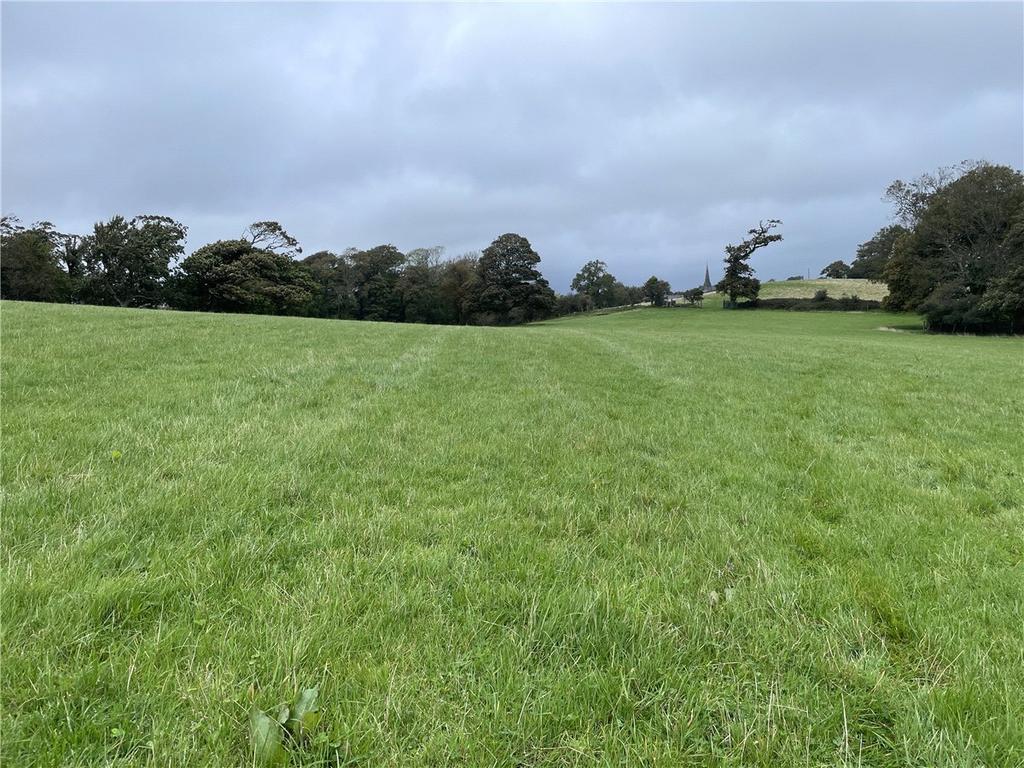 Lot 1 Pasture