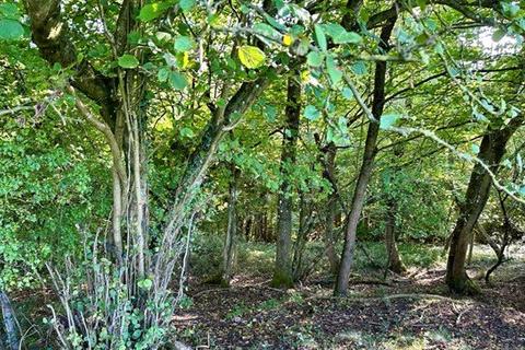 undefined, South Of Blackquarries Hill, Wotton-Under-Edge, GL12