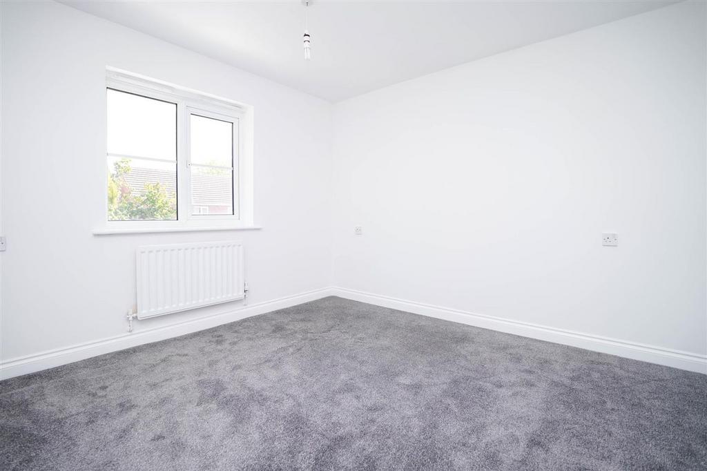Photo-17.jpg