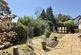 Additional image 26 of St. Ives Park, Ashley Heath, BH24 2JX