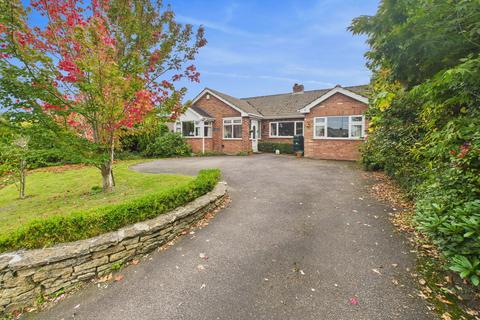 undefined, St Marys Park, Ottery St Mary