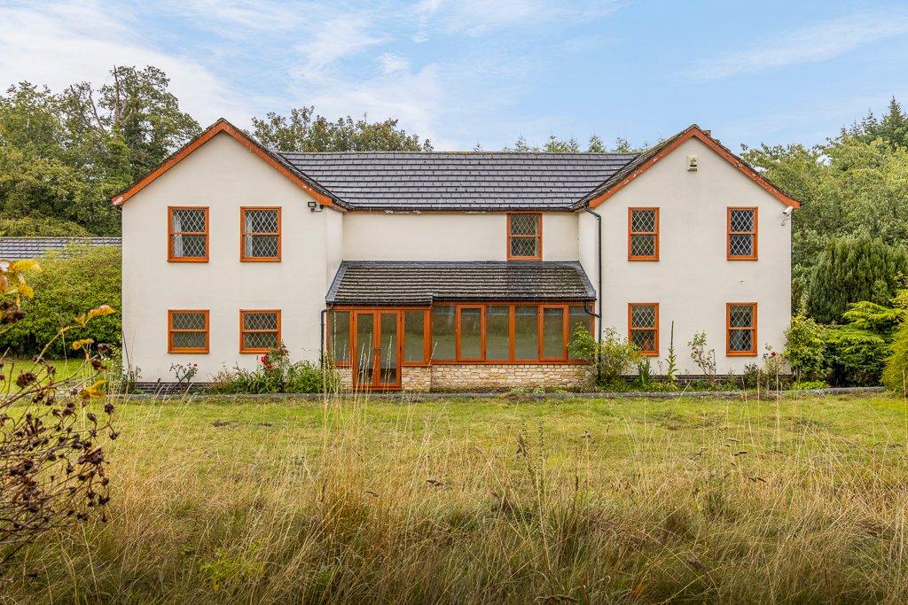 Rear Elevation